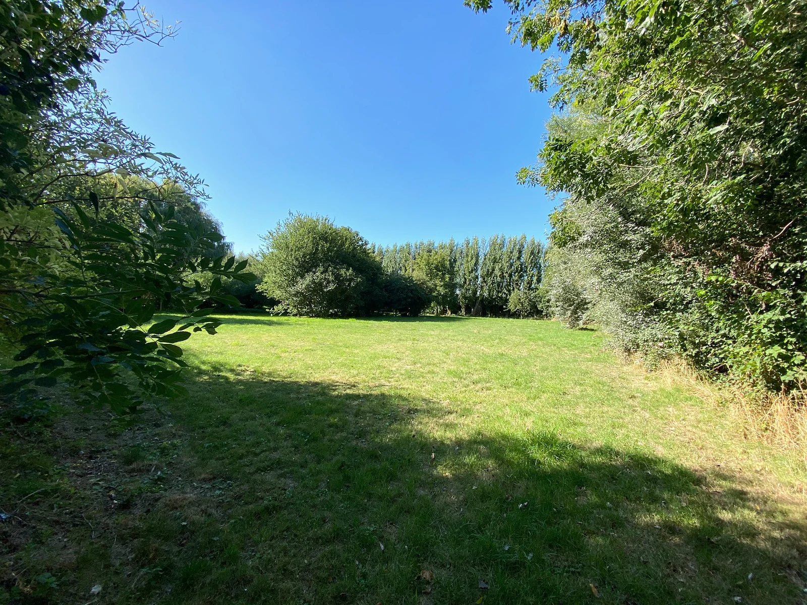 Het open gazon in de poldertuin, omringd door bomen