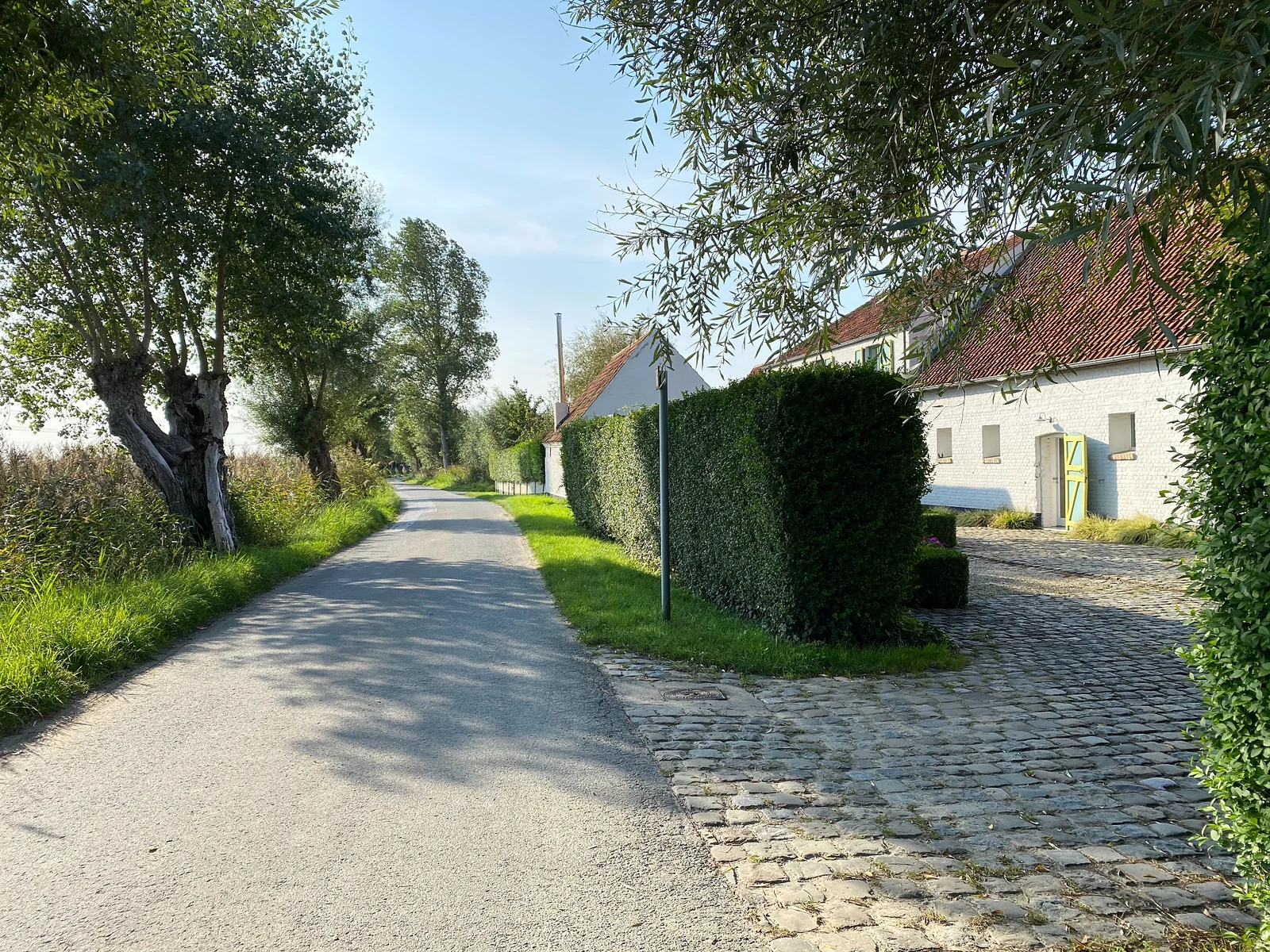 De witte gevel van Polderlicht aan de Bosstraat, met kasseien en een groene haag