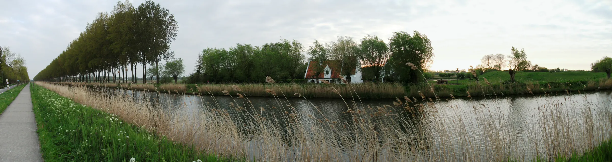Panorama vun der Damse Vaart mat engem Vëloswee, Schilf an enger laanger Rei Beem laanscht d'Waasser